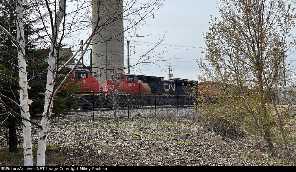 CN 8903